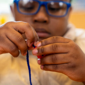 Donate To Apricot Tree